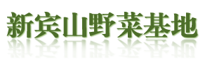 新宾山野菜培育基地